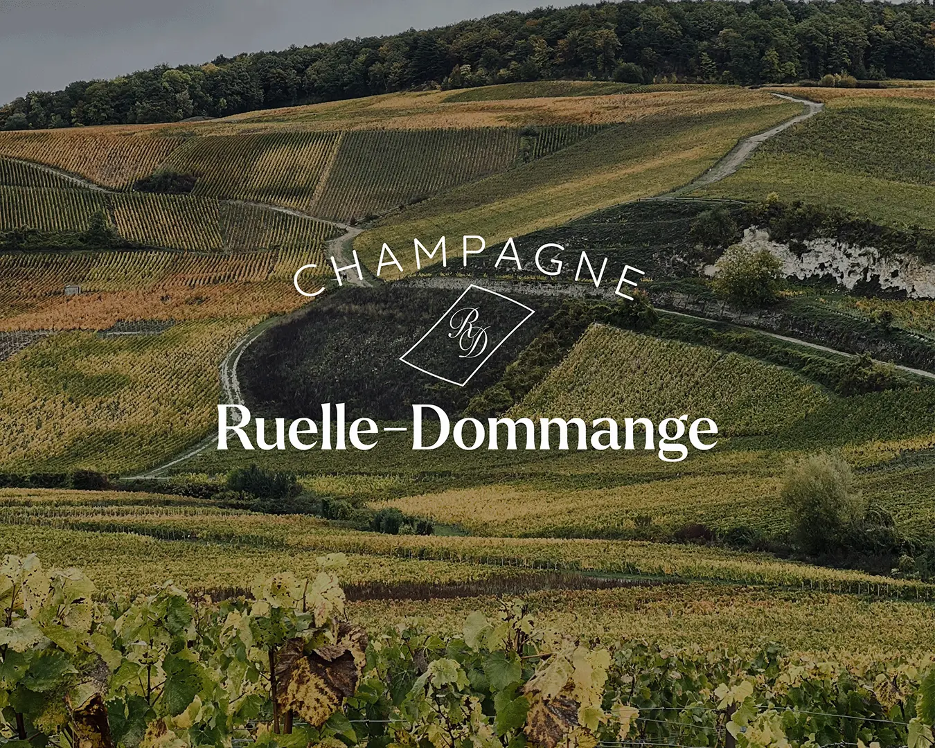 Ruelle-Dommange — refonte UX/UI du site d'une maison de champagne